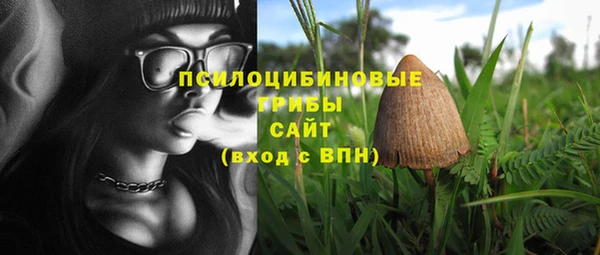 синтетический гашиш Няндома