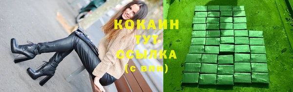 крисы Нягань
