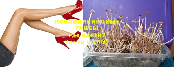 прущие крисы Бабаево