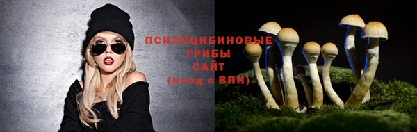 стафф Куйбышев