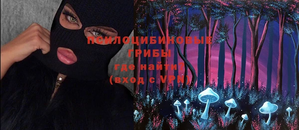 крисы Нягань