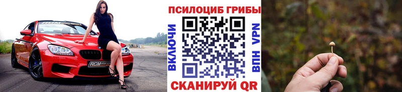 Галлюциногенные грибы прущие грибы  Курчатов 